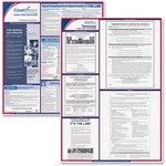 Complyright Tennessee Fed/state Labor Law Kit