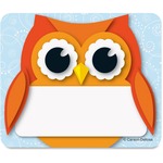 Carson-dellosa Colorful Owl Name Tags