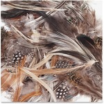 Chenillekraft Natural Feathers