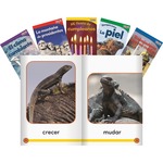 Shell Time For Kids Informational Text Grade K Readers Set 3 10-book Spanish Set Education Printed Book - Spanish