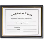 Nu-dell Plastic Framed Award Certificate