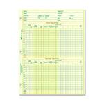 Rediform National Payroll Filler Sheet