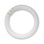 SLI Lighting Circline Fluorescent Tube Bulb