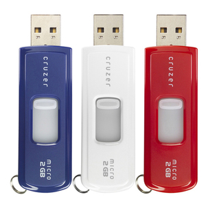 SanDisk 2GB Cruzer Micro USB 2.0 Flash Drive - (3 Pack)