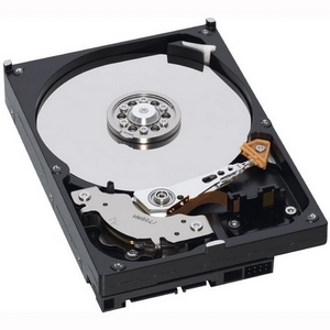 Western Digital AV 320 GB Internal Hard Drive