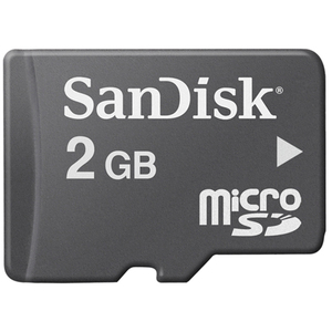 SanDisk SDSDQ-002G-BM 2 GB microSD
