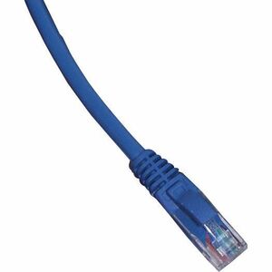 GoldX DataPlus GXPNC-6BL-50 Category 6 Network Cable - 50 ft