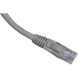GoldX DataPlus GXPNC-6GY-50 Category 6 Network Cable - 50 ft