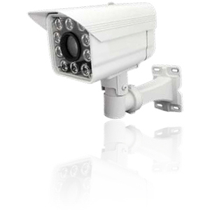 Liveline AVC6600 Surveillance/Network Camera - Color