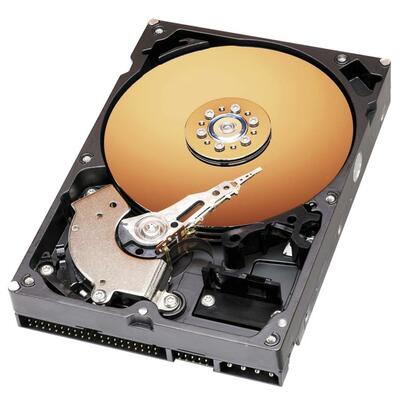 Hard Drive Disk 80 GB 7200RPM Motor