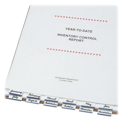 Computer Printout Index Tabs1-1/2" Write On16 per PackBlue Edge