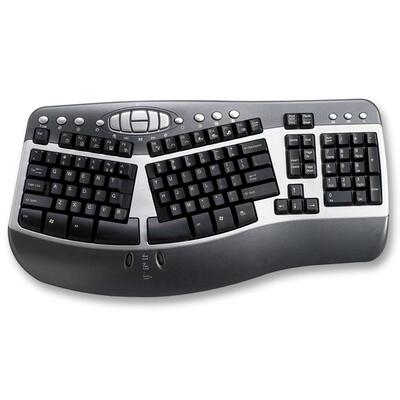 Ergonomic KeyboardUSB/PS2 Adapter19-1/2