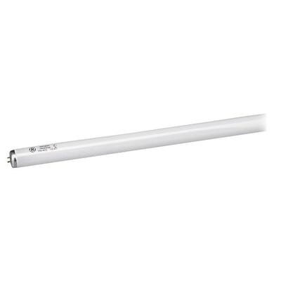 Fluorescent Bulb 4' Long 34 Watt Cool White<br>WHITE<br>Sold by theCT<br>30 EA/CT