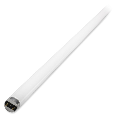 Fluorescent Tubes 4' Long 40 Watts 6/CT