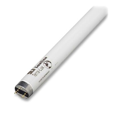 Fluorescent Color Enhancing Tubes,F32T8/741,6/CT,32 Watt