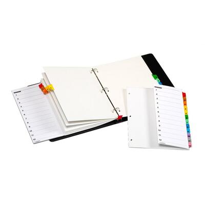 One Step 3 Ring Indexes Numbered 1-12 12 Tabs Multicolor