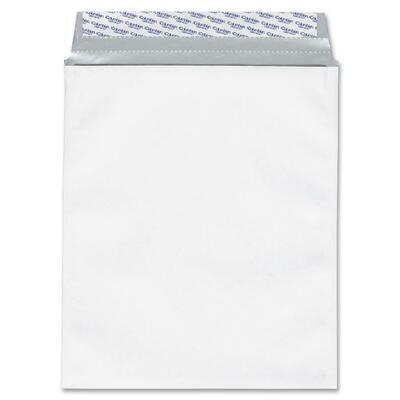 Security Envelope Grip-Seal Plain 9