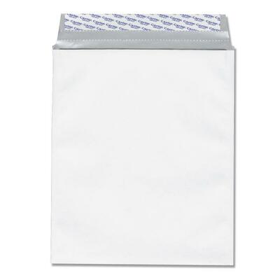 Security Envelope Grip-Seal Plain 10