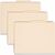 Manila Classification Folder