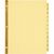 Laminated Tab Dividers with Gold Reinforcement