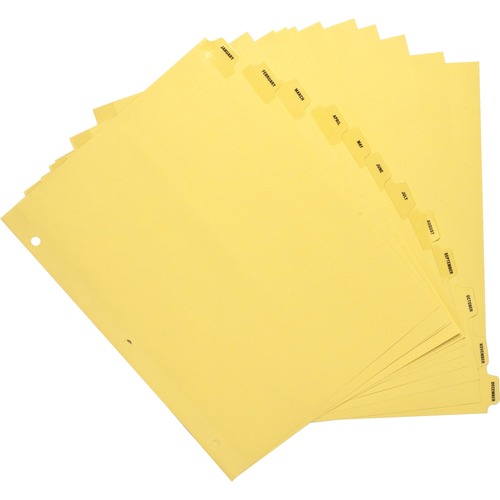 Sparco Sparco Monthly Clear Plastic Index Dividers