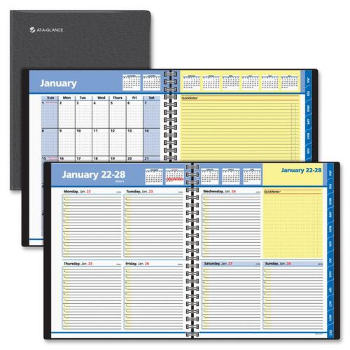 At-A-Glance QuickNotes Weekly and Monthly Appointment Book