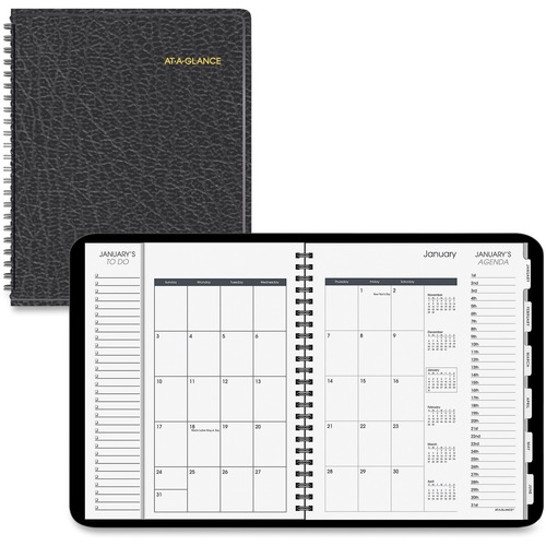 At-A-Glance Daily/Monthly Triple View Appointment Book