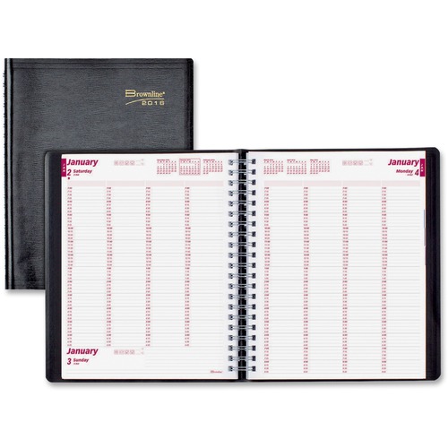 Brownline Brownline Professional Daily Appointment Book