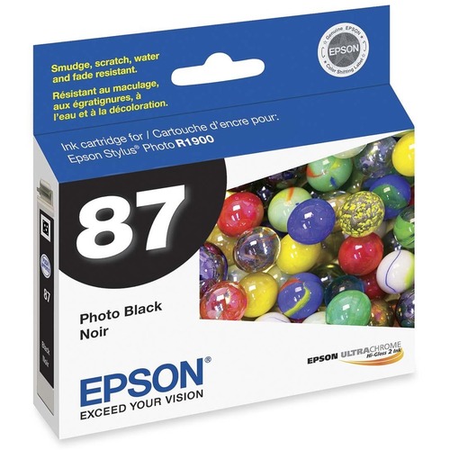 Epson Epson UltraChrome Hi-Gloss 2 Pigment Photo Black Ink Cartridge