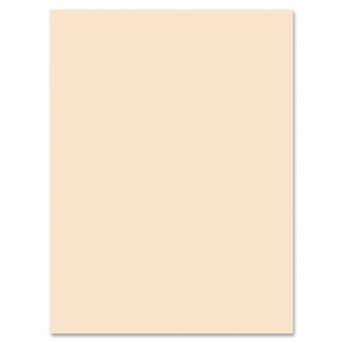 Pacon Pacon Medium Weight Tagboard Paper