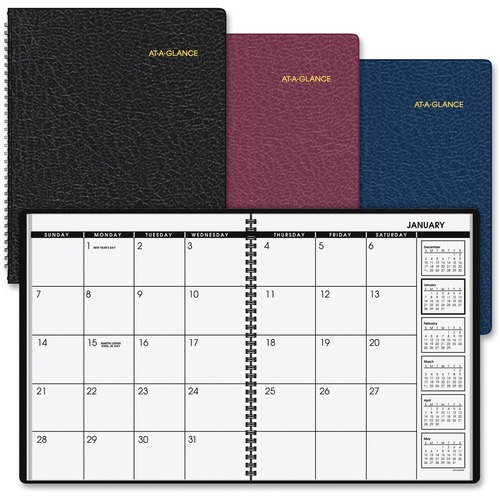 At-A-Glance Professional Planner