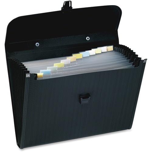 Wilson Jones Briefcase-Style Poly Expanding File