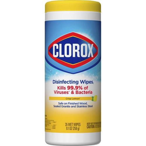 Clorox Clorox Disinfecting Wipe