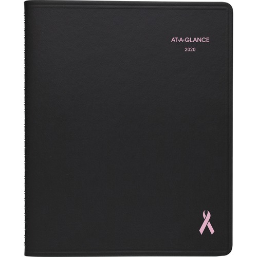At-A-Glance QuickNotes Special Edition Appointment Book