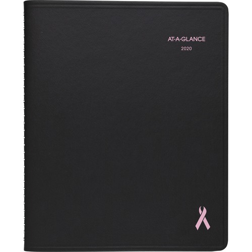 At-A-Glance At-A-Glance QuickNotes Special Edition Appointment Book