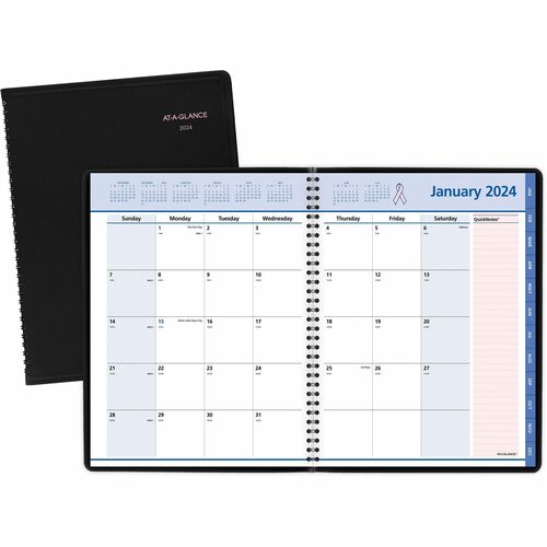 At-A-Glance At-A-Glance QuickNotes Special Edition Appointment Book