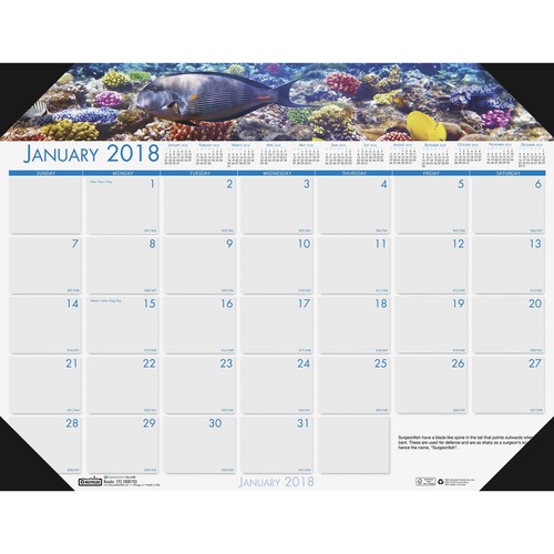 House of Doolittle House of Doolittle Earthscapes Sea Life Desk Pad Calendar