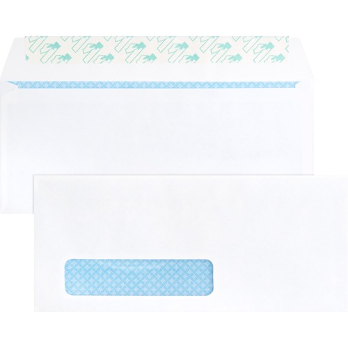 Business Source Business Envelope