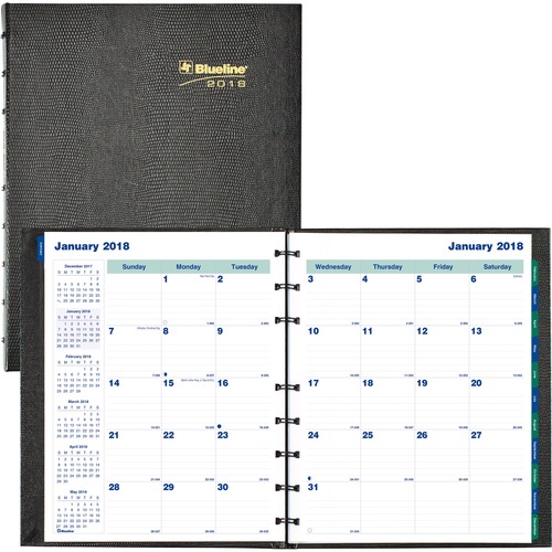 Rediform Rediform MiracleBind CoilPro 17 Month Planner