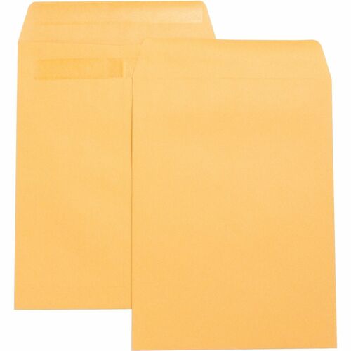 Business Source Press-To-Seal Catalog Envelopes