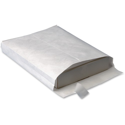 Business Source Business Source Tyvek Expansion Envelope