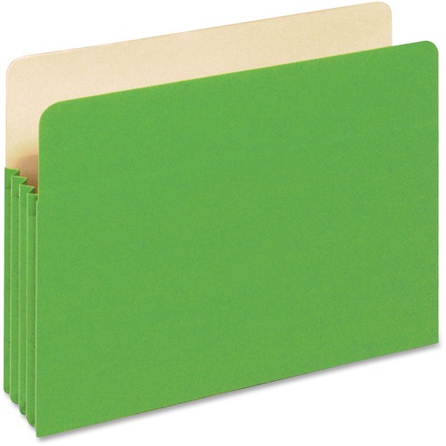 Globe-Weis Colored File Pocket