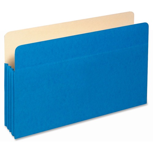 Globe-Weis Globe-Weis Colored File Pocket