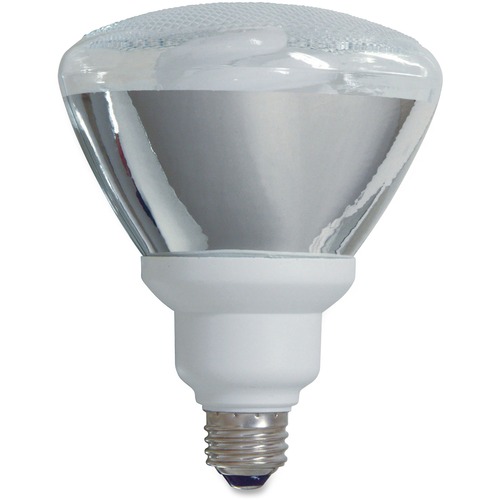 GE GE 26-watt PAR38 Fluorescent Lamp