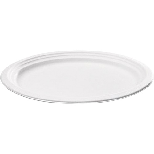 Savannah White Oval Plate