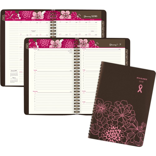 At-A-Glance Sorbet Weekly/Monthly Appointment Book