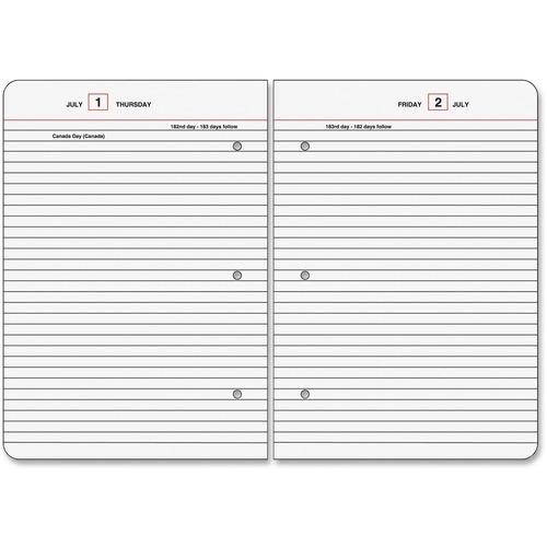 At-A-Glance Standard Diary Loose-Leaf Daily Diary Refill for SD882