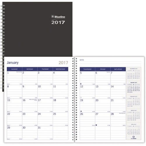 Rediform Rediform DuraGlobe Monthly Planner