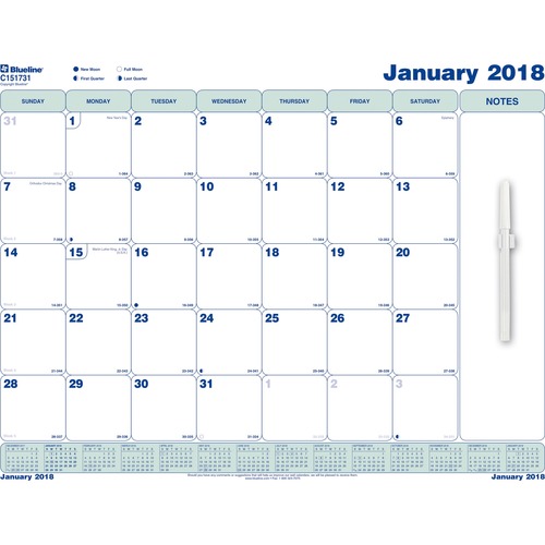 Rediform Static Cling Monthly Wall Calendar