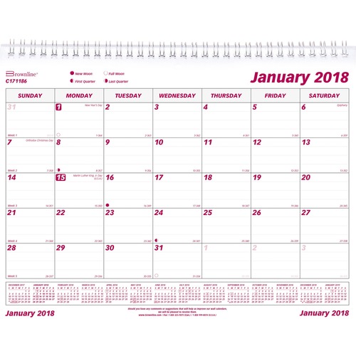 Rediform Rediform Monthly Wall Calendar